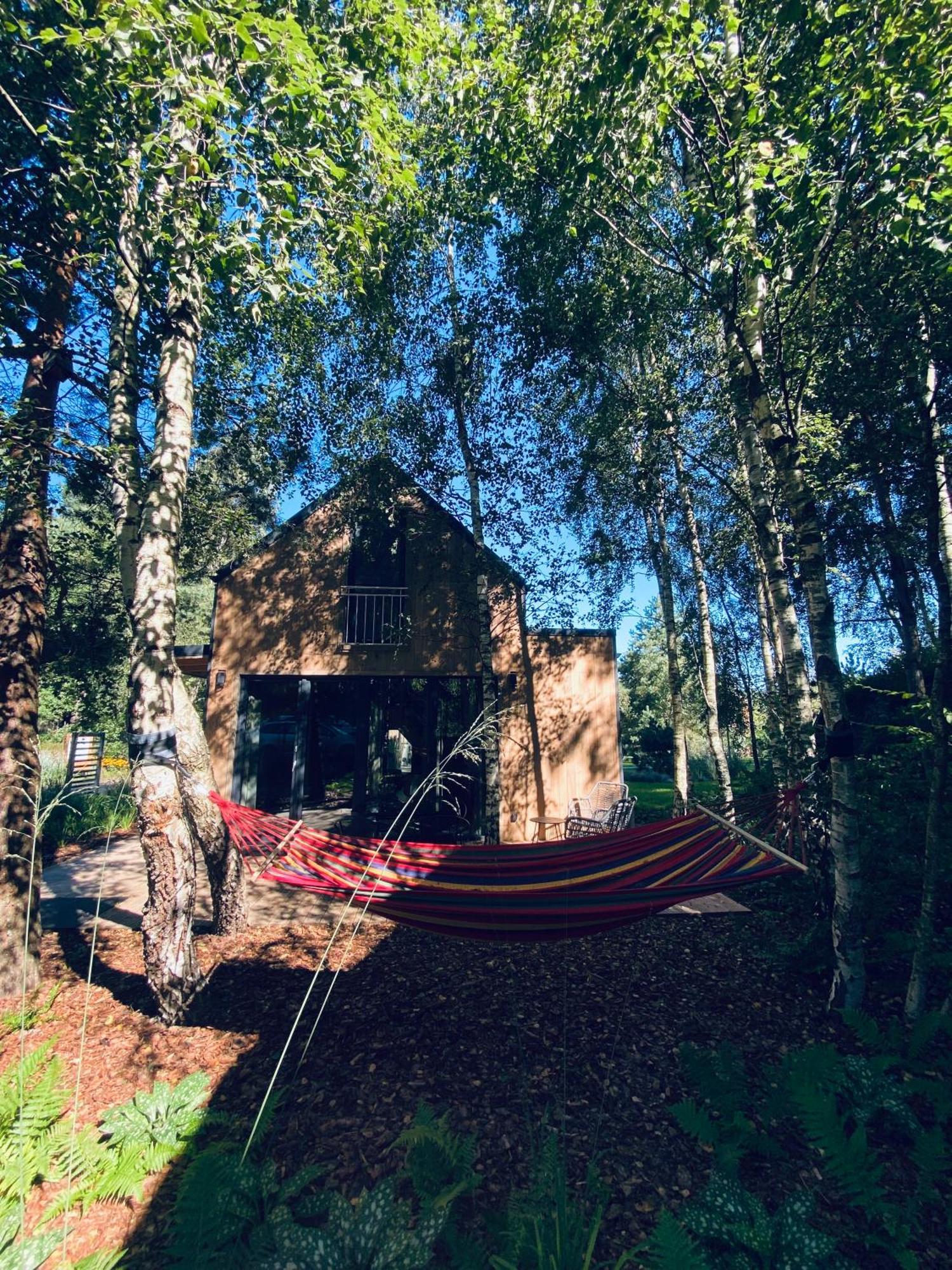 Miedzy Brzozami / Domy W Lesie Ciekocino Esterno foto